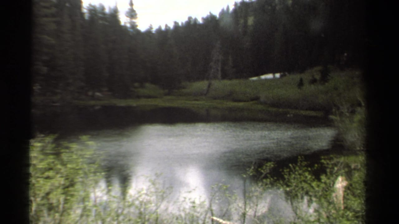 Forest lake with dark tree line, pale water, and grassy shore.