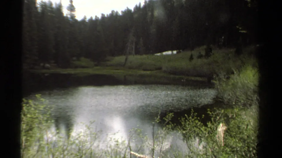1978 Lake Tahoe home-movie frame with foreground brush, calm water, a wooded bank, and visible 8mm gate edges.