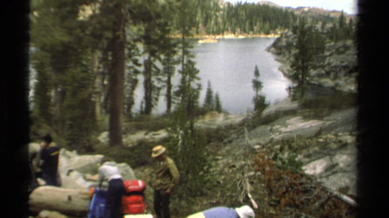 Campers with packs stand among trees and rocks above a lake.
