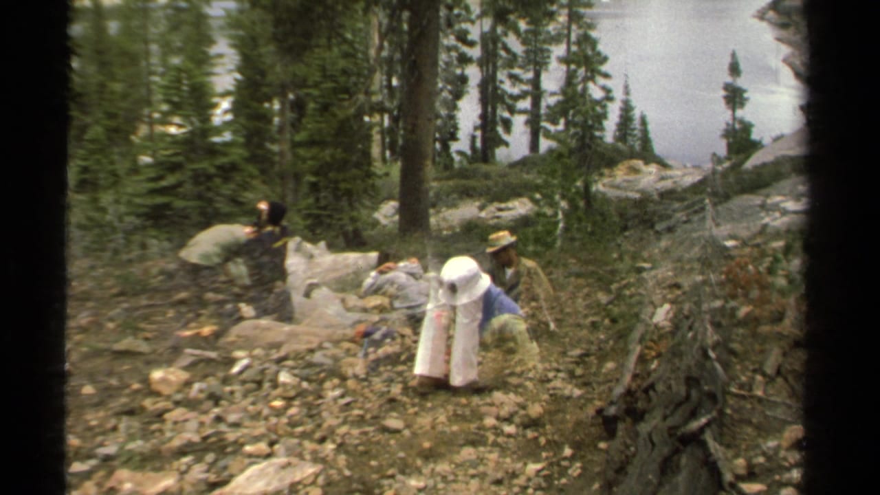 1978 8mm Lake Tahoe home-movie frame showing hikers paused among rocks, pine trees, and trail debris in a mountain forest.