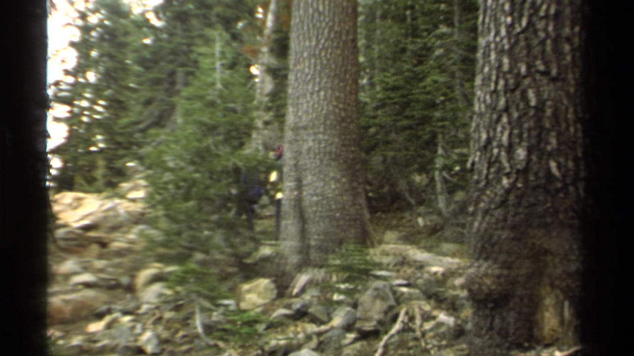 1978 Lake Tahoe 8mm frame showing a rocky forest trail among tall pines, with a distant dark figure partly visible at left.