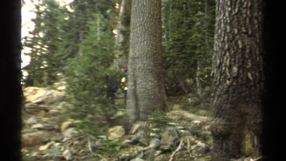 1978 Lake Tahoe 8mm frame showing a rocky forest trail among tall pines, with a distant dark figure partly visible at left.