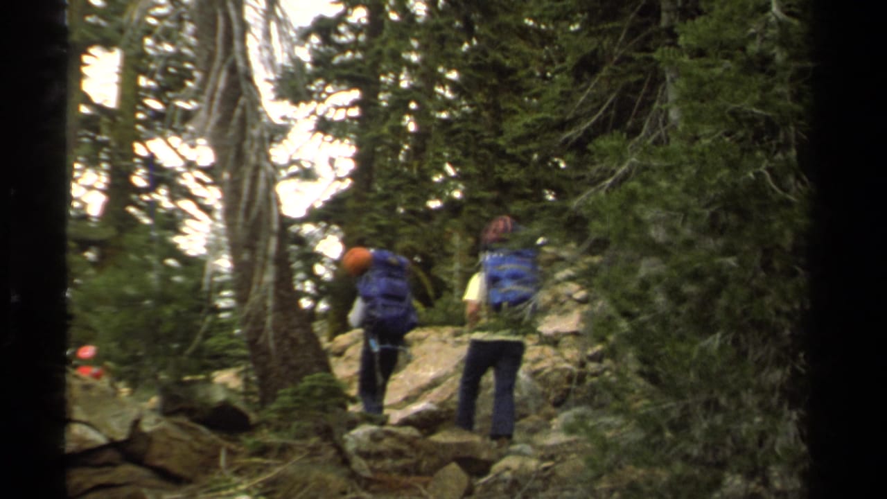 Two backpackers walk away on a rocky forest trail between tall trees.