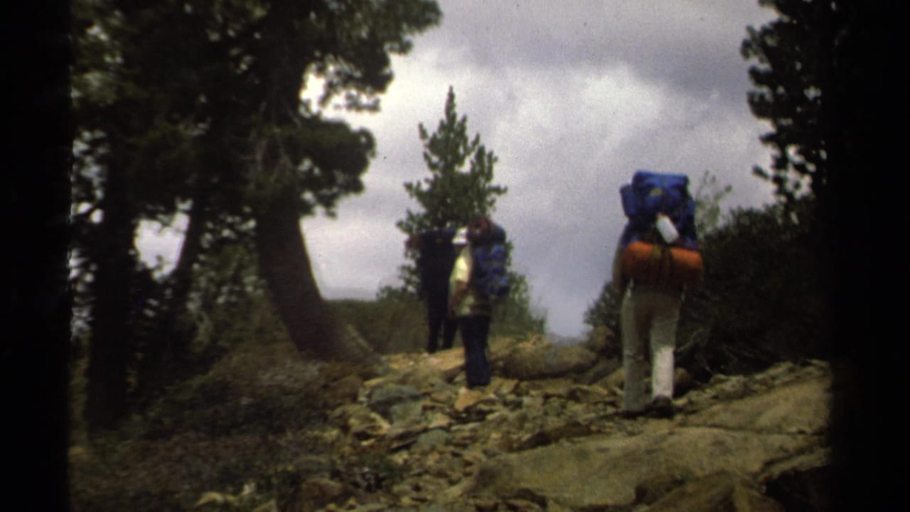 Two backpackers walk uphill on a rocky forest trail beneath tall trees.
