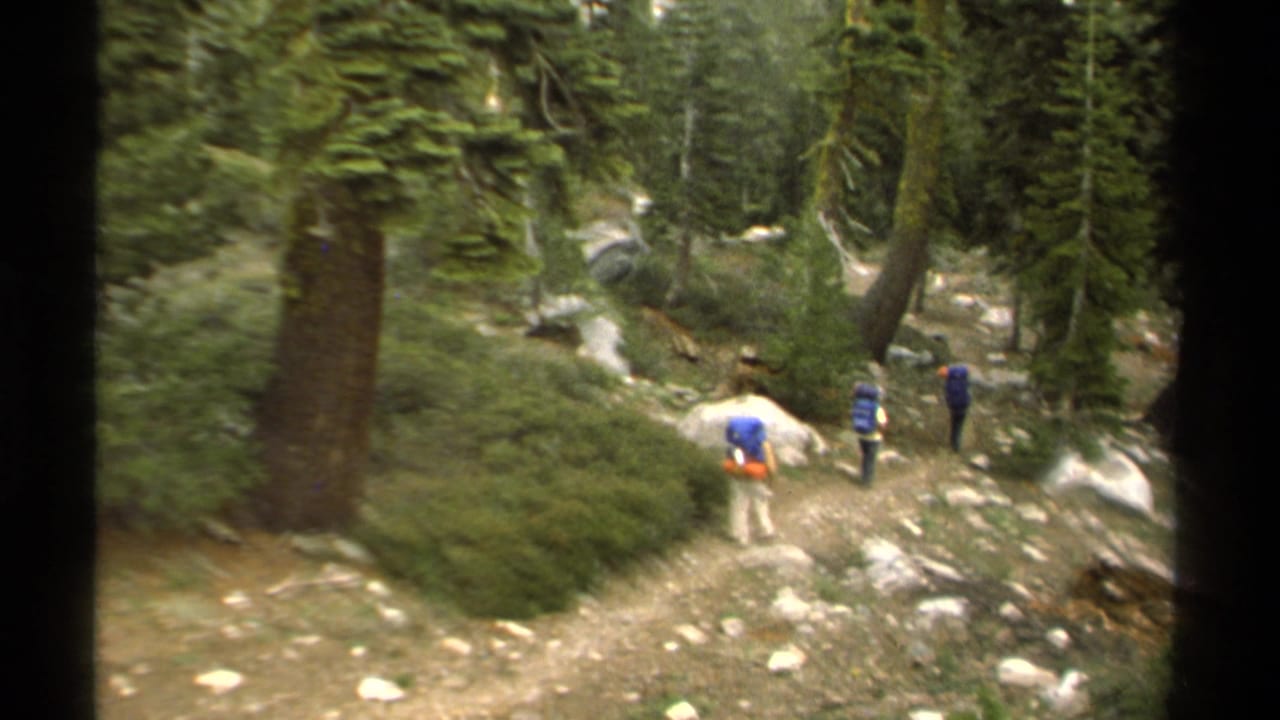Three backpackers walk through a pine forest trail in the Lake Tahoe area, seen from a handheld 1978 8mm camera.