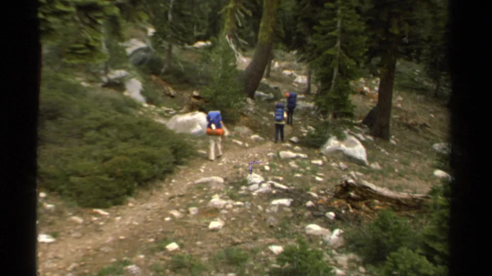 The hikers recede along a wooded Lake Tahoe trail, framed by boulders, brush, and tall evergreens in 1978 8mm footage.