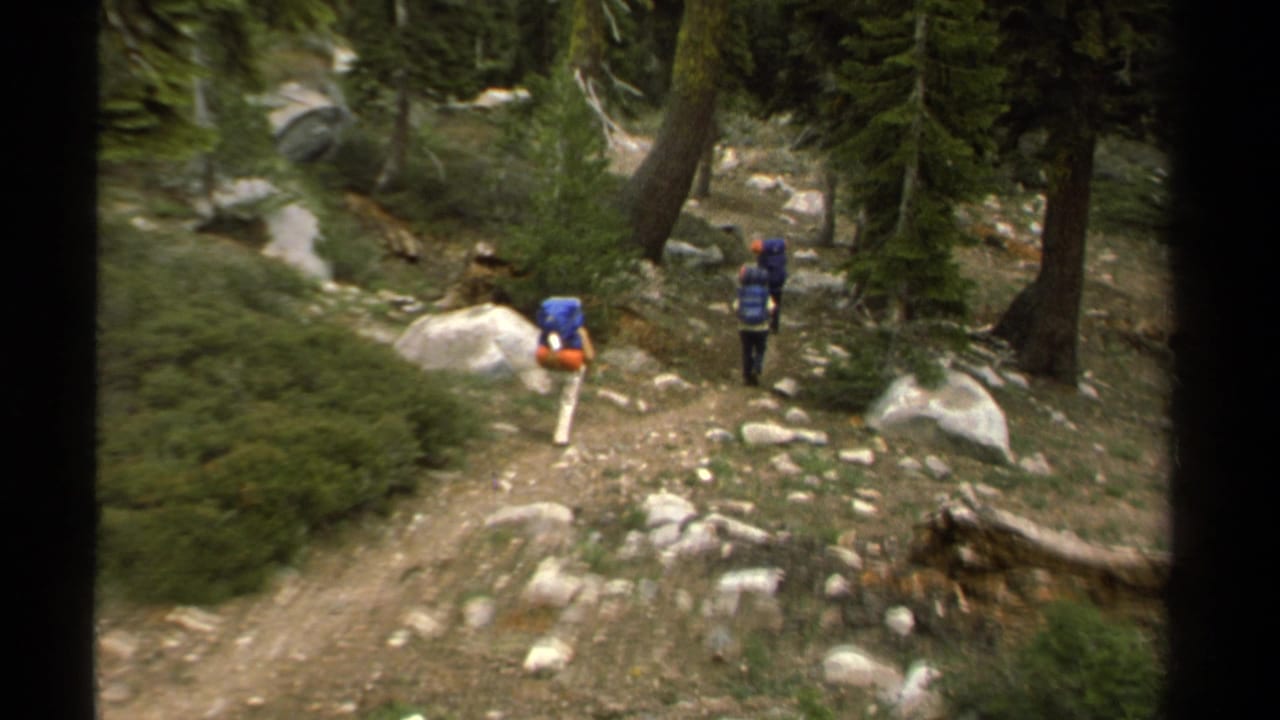 Three hikers with large backpacks walk down a rocky forest trail.