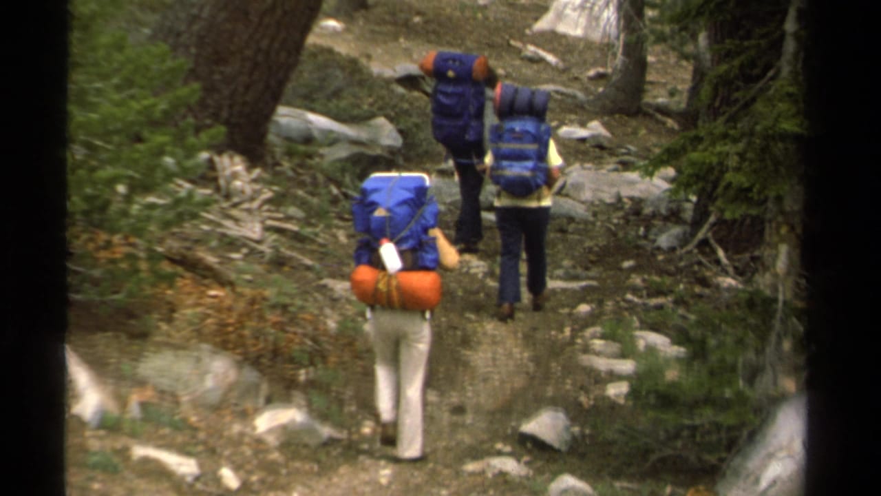 Three hikers with large backpacks walk along a rocky forest trail.
