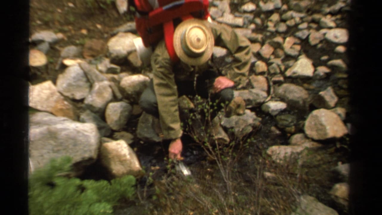 The hiker leans over the rocky watercourse in Lake Tahoe, appearing to collect water with a metal cup.