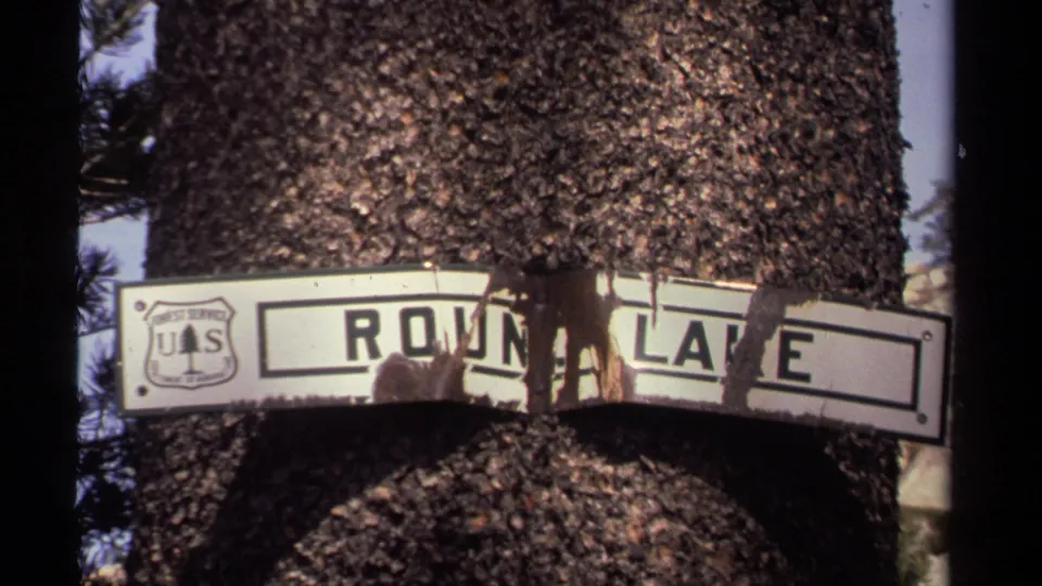 Weathered U.S. Forest Service Round Lake sign attached to a large tree in the Lake Tahoe-area 1978 home movie.