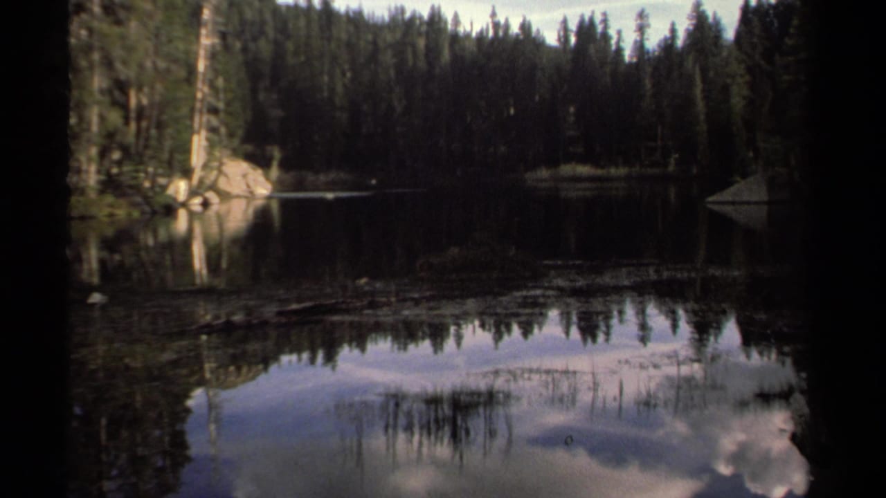 Forested lake edge with rocks and reflected sky on calm water.