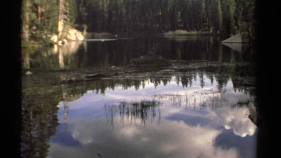 Lake Tahoe waterside view with pine forest, rocky shore, reeds, and clouds mirrored on the water surface.
