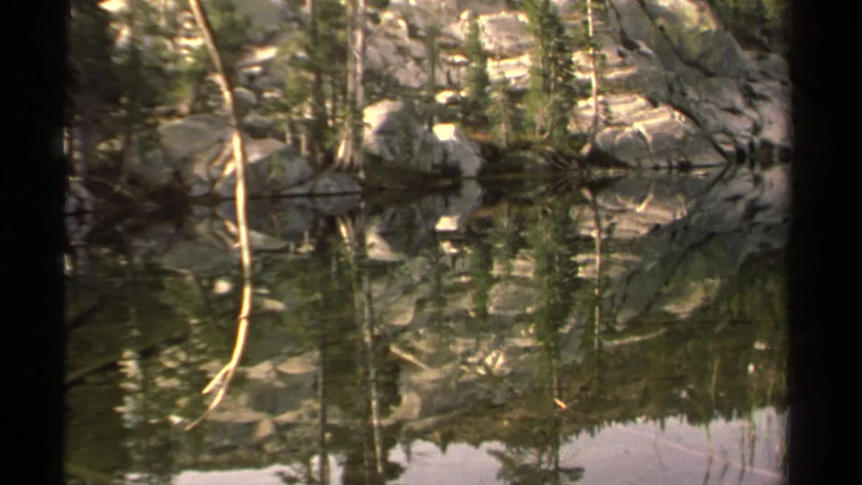 1978 Lake Tahoe frame showing a pale leaning trunk, shoreline rocks, and evergreen reflections in quiet 8mm lake footage.