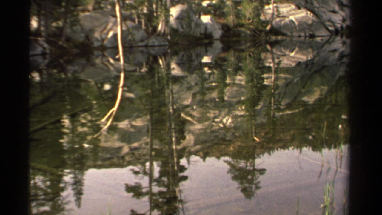 Still pond water reflecting pine trees and rocks, with dark vertical frame shadows.