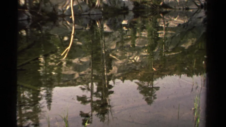 1978 Lake Tahoe 8mm frame of a quiet pond surface reflecting pine trees and pale sky beside a rocky shore.