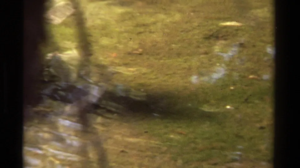 1978 Lake Tahoe 8mm frame of a shallow stream with green streambed, wavering reflections, and a dark vertical frame border.