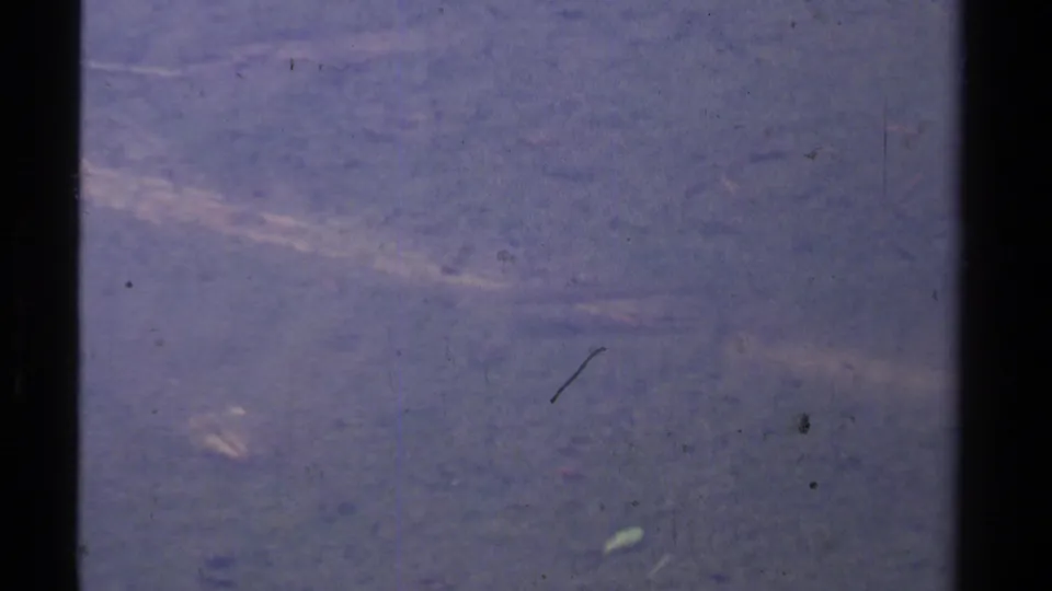 1978 Lake Tahoe pond frame with blue-green water, faint submerged branches, soft reflections, and visible 8mm film specks.