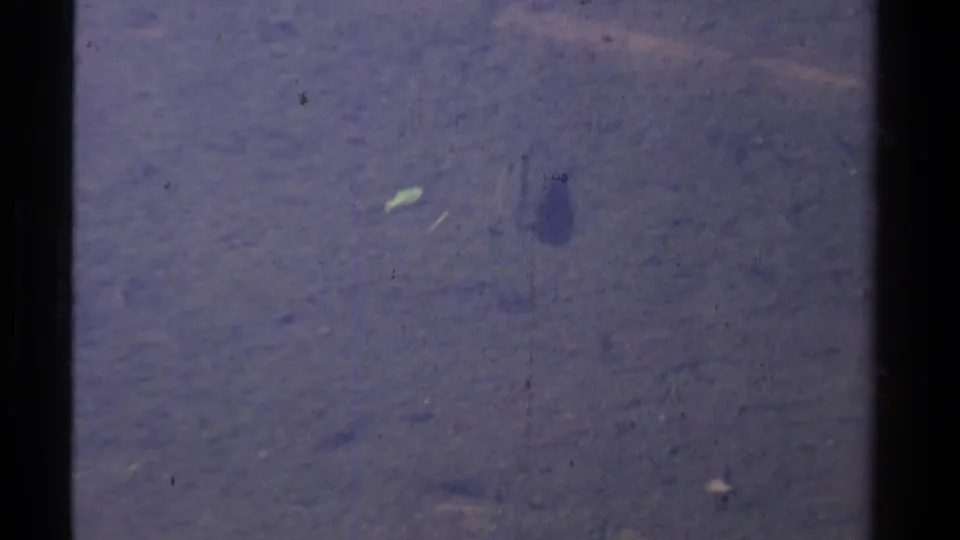 A single fish swims through clear Lake Tahoe water, with 1978 8mm grain and scratches visible across the frame.