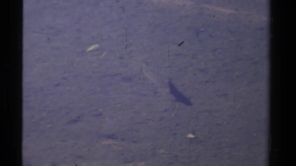 The fish appears near the lower right of the 1978 Lake Tahoe frame, with aged 8mm tint, grain, and scattered debris visible.