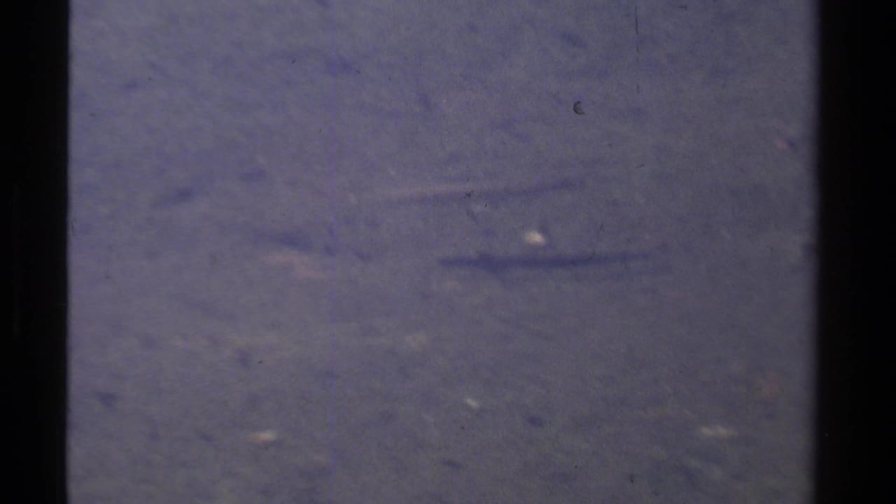Small elongated fish shape near the upper right in cloudy water.