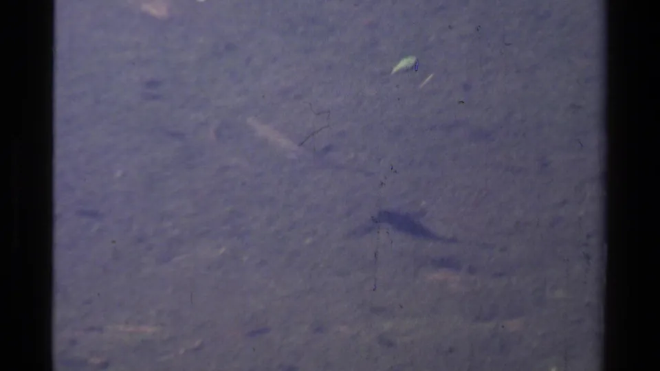1978 8mm Lake Tahoe-area frame with a faint slender fish and shadow visible through cloudy water.