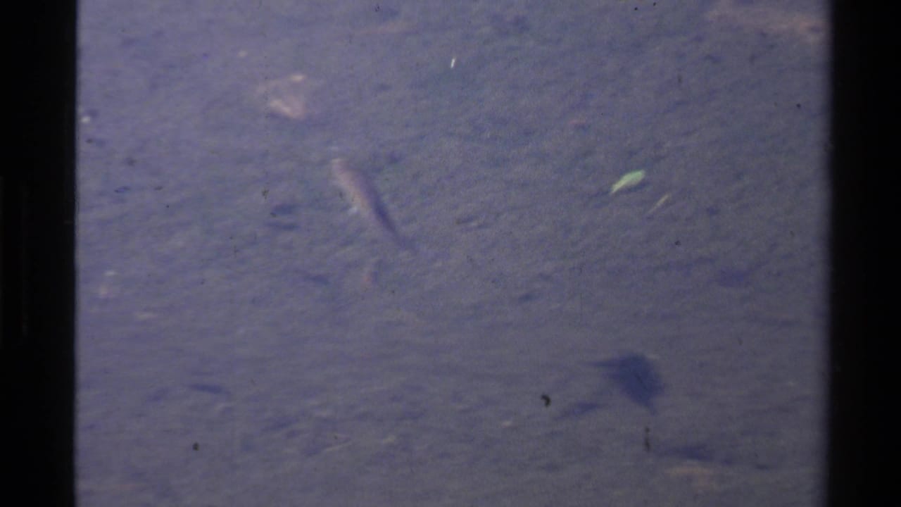 Blue lake water with a faint fish shape beneath the surface and dark film borders.