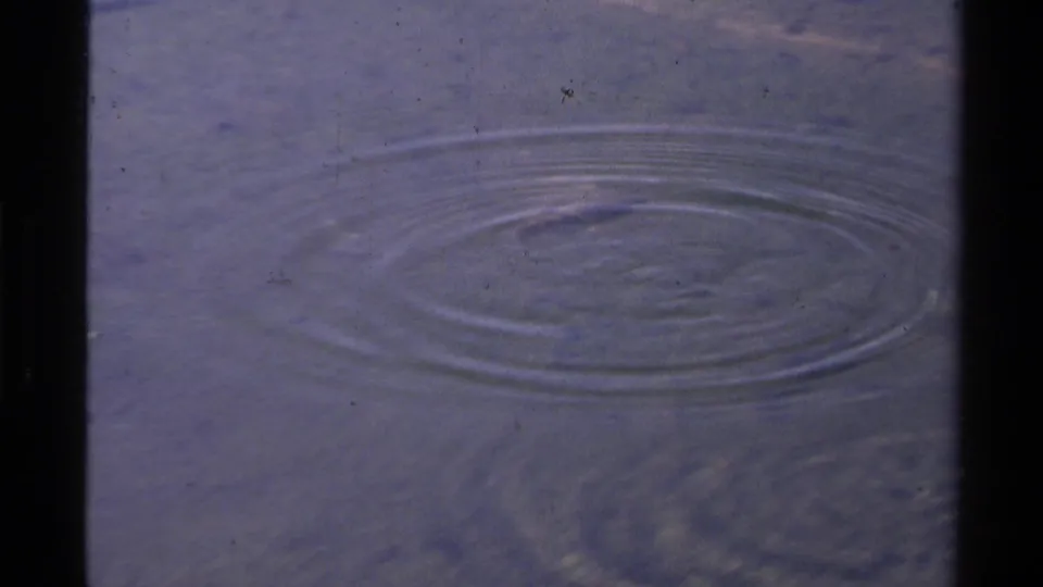 1978 Lake Tahoe 8mm frame with circular ripples on blue-purple water and soft film grain.