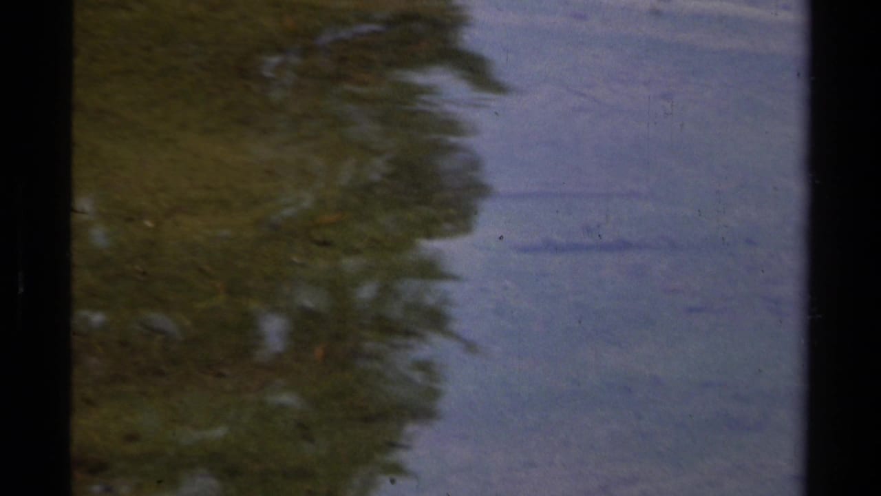 Reflected greenery and lake surface with a small fish shape near the lower center.