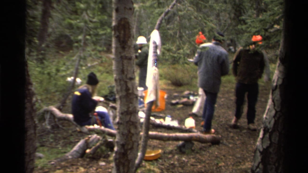Campers in a wooded campsite with one person seated on a log eating from a plate.