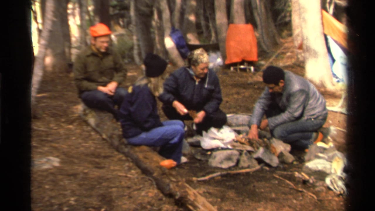 Four campers remain seated at the campsite while one person reaches toward sticks near the fire area.