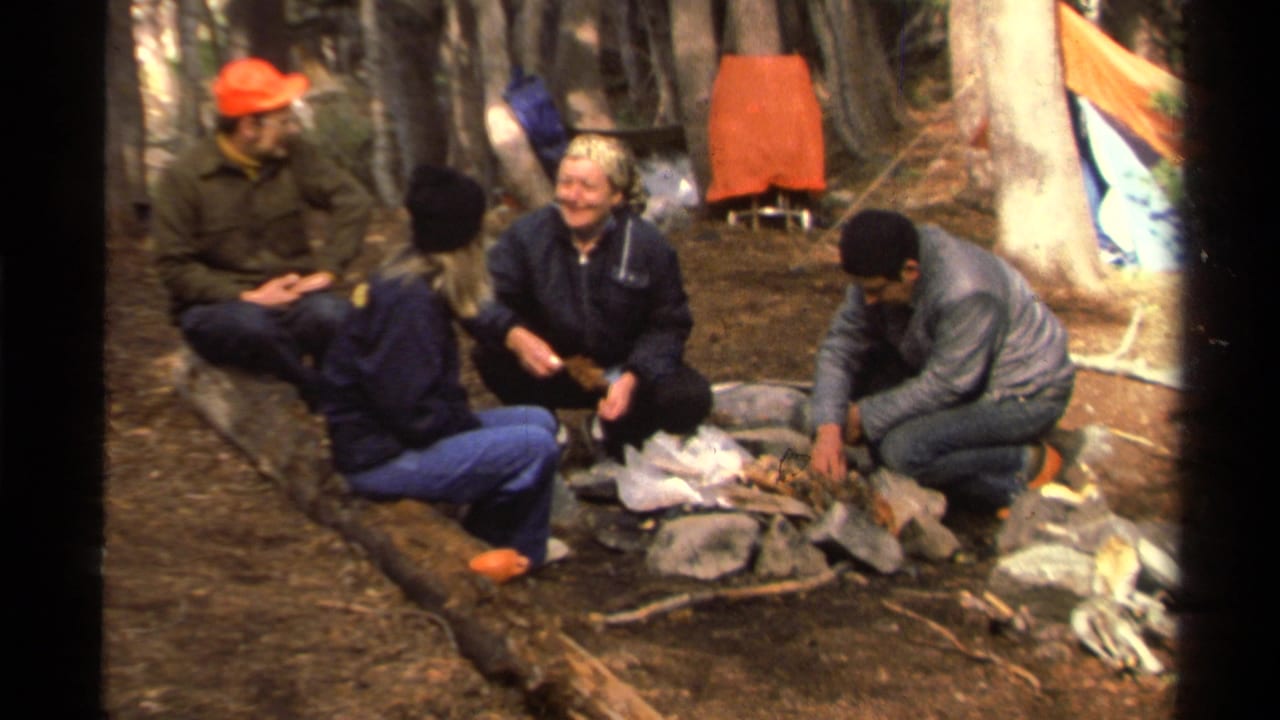 Four adults sit around a small fire ring in a wooded campsite with logs and camping items nearby.