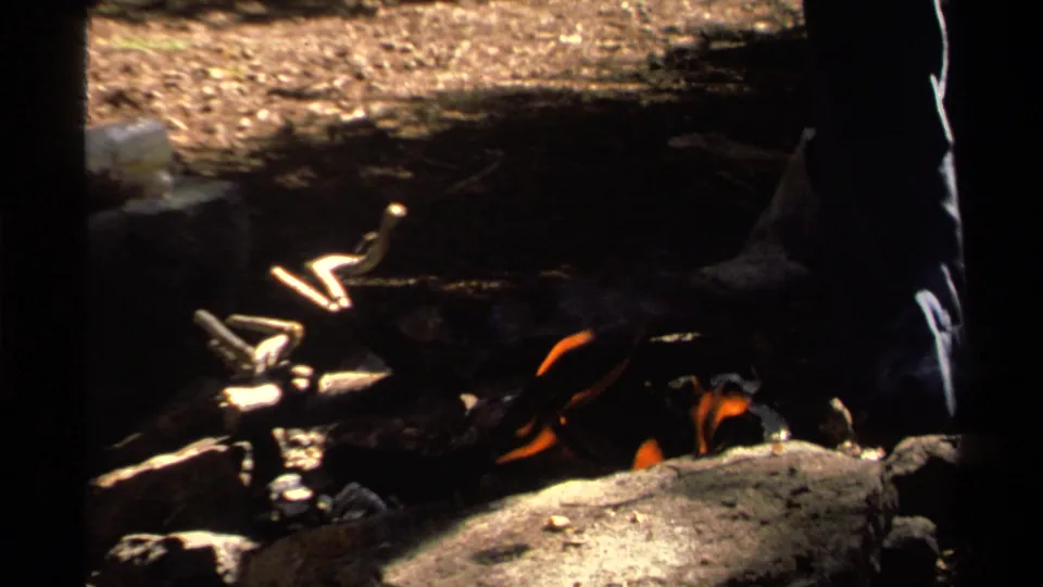 1978 Lake Tahoe 8mm frame with a darker close view of the campfire, stone ring, smoke, logs, and nearby legs.