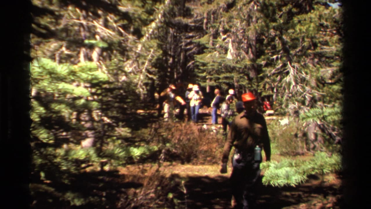 Hikers walk on a shaded forest trail while a person with an orange hard hat enters the foreground.