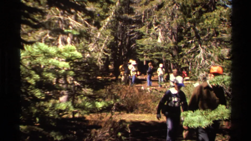 In Lake Tahoe forest footage from 1978, hikers in casual outdoor clothing move toward the camera beneath tall trees.