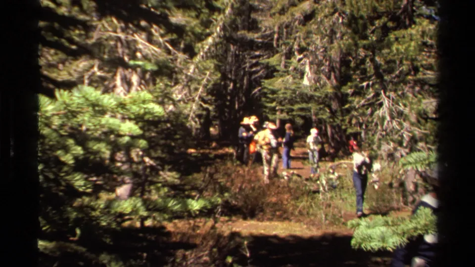 A 1978 Lake Tahoe home-movie frame shows hikers spread along a sun-dappled trail, with one person paused near the camera holding greenery.