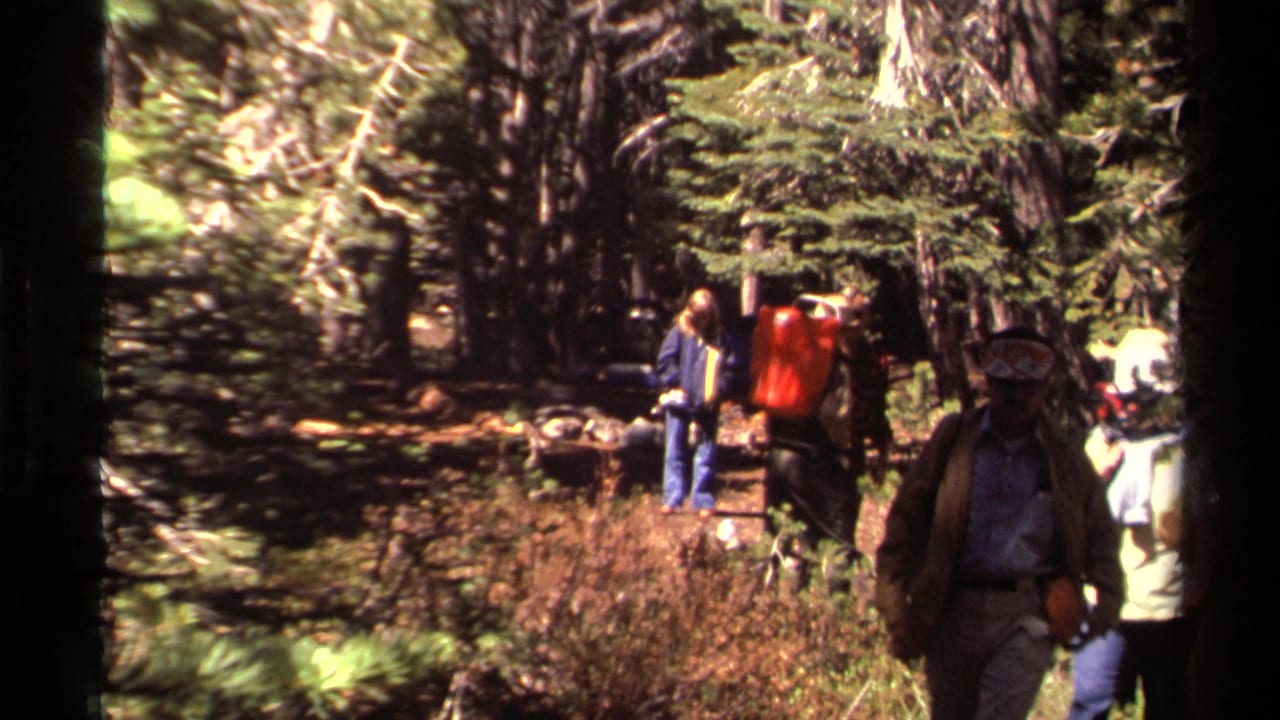 1978 8mm Lake Tahoe-area home movie frame showing friends hiking through a pine forest, some wearing hats and backpacks.