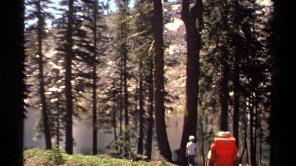 1978 Lake Tahoe frame of hikers walking downhill through pines toward visible water, including a person with a bright orange backpack.
