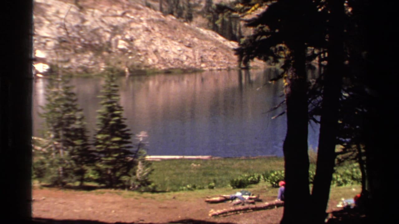Pine trees frame a calm lake with campers resting near a grassy shore.
