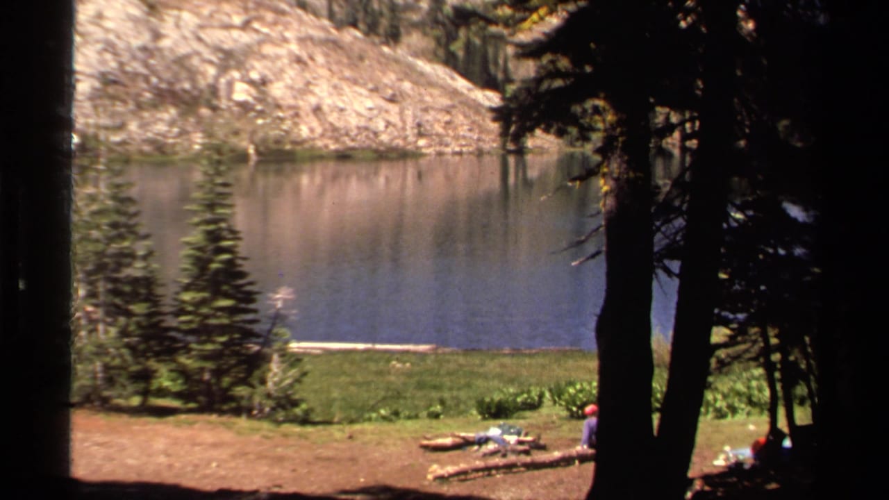 A lakeside campsite with pine trees, still water, and people near the shore.