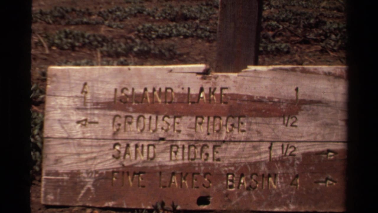 Lake Tahoe-area hiking sign in 1978 8mm footage, with weathered boards and route names visible between dark tree trunks.