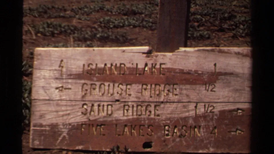 Lake Tahoe-area hiking sign in 1978 8mm footage, with weathered boards and route names visible between dark tree trunks.