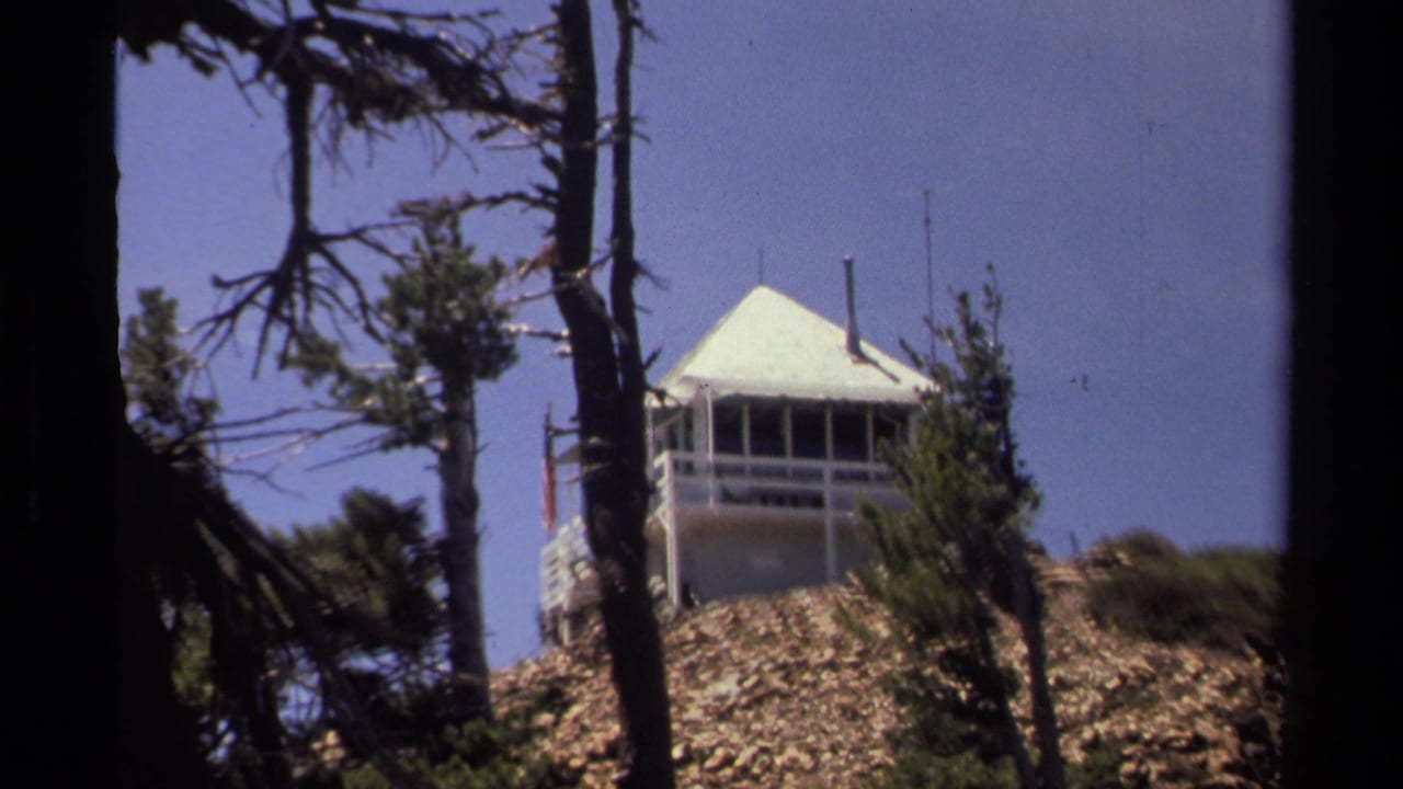 1978 Lake Tahoe frame with a white mountain lookout tower viewed through pine trunks and branches against a clear sky.