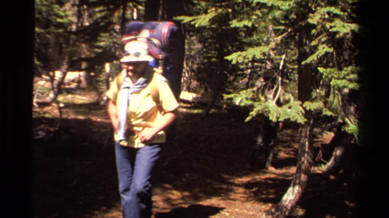 Hiker with backpack and wide-brimmed hat walks through a pine forest trail.
