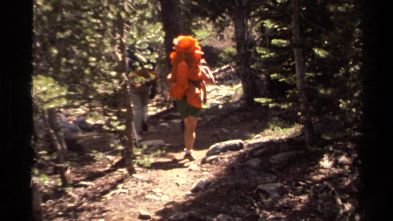 Hiker with a bright orange backpack walks along a sunlit forest trail.