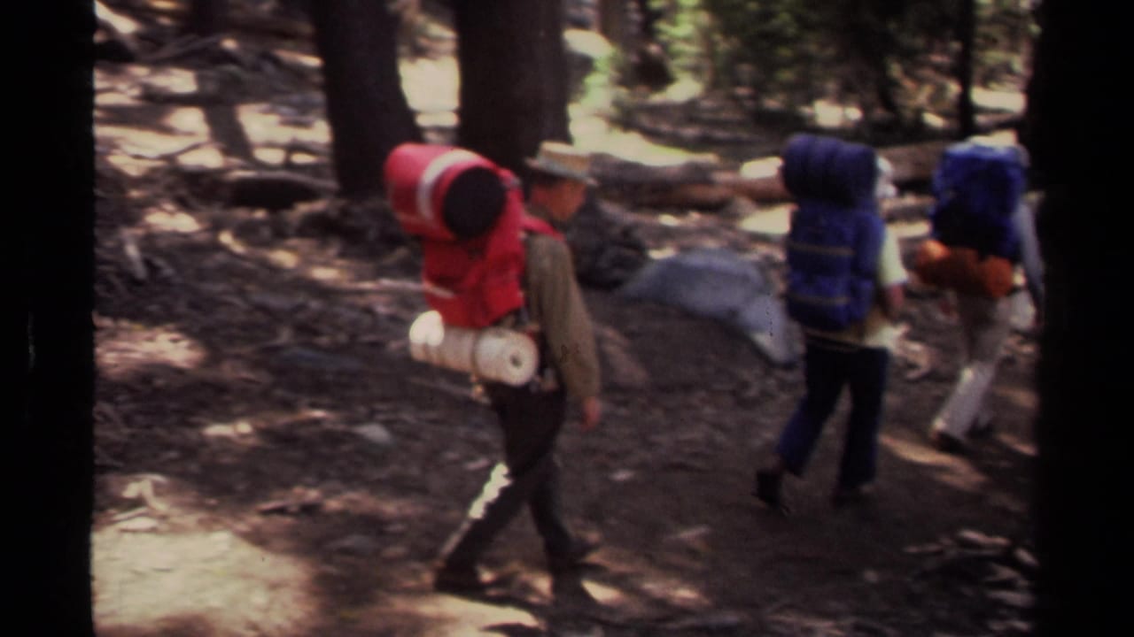 Hikers with large backpacks walk along a shaded forest trail.