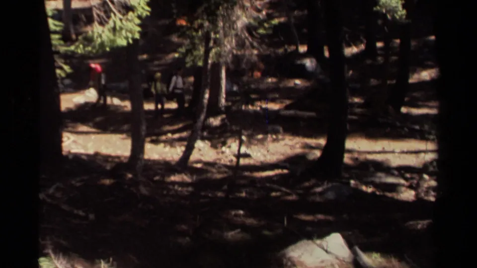 1978 Lake Tahoe 8mm frame with distant hikers moving through a shaded conifer forest, partly hidden by trunks.