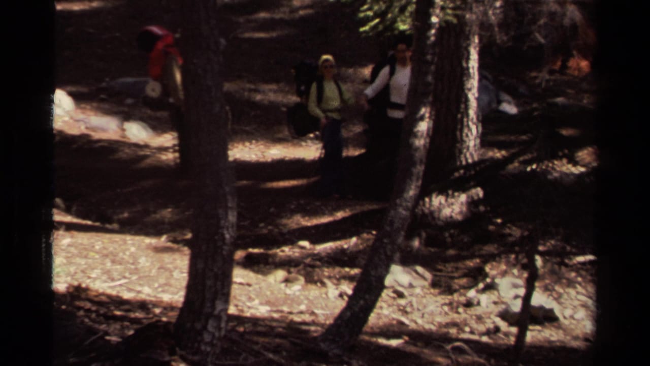 1978 Lake Tahoe home-movie frame showing hikers partly obscured by tree trunks on a sun-dappled forest path.