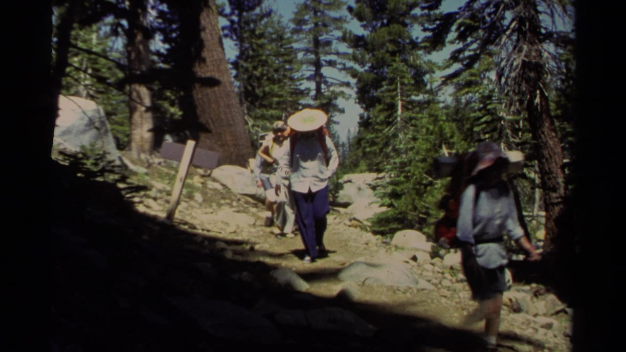 Hikers with backpacks walk along a rocky forest trail under tall pine trees.