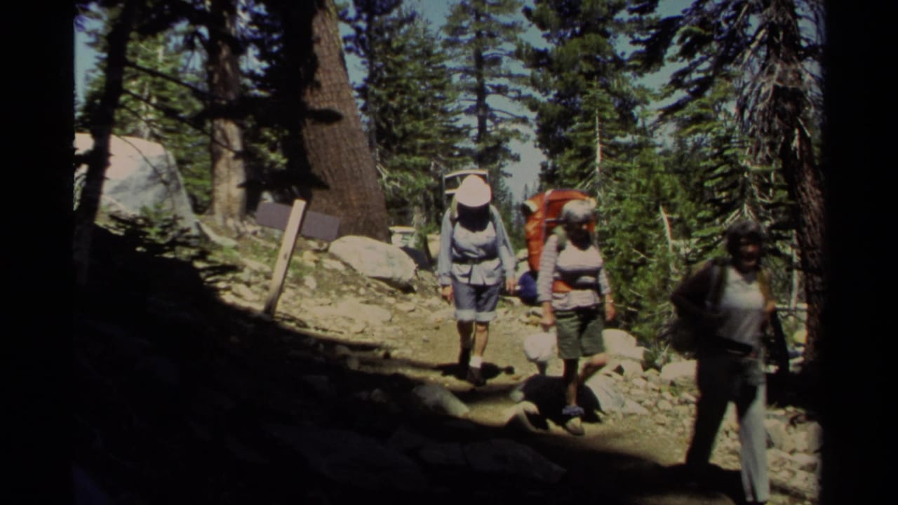 Three hikers with backpacks walk along a rocky forest trail under tall trees.