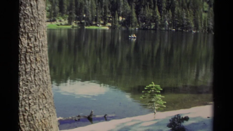A quiet Lake Tahoe shoreline view shows still water, forest reflections, a tree trunk, and a small distant boat.